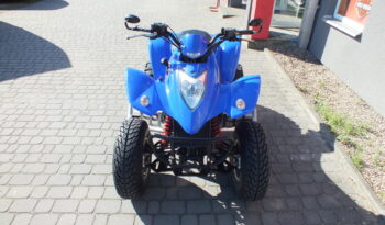 KYMCO MAXXER 250 – 2004r zarejestrowany full